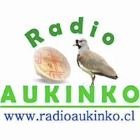 Radio Aukinko